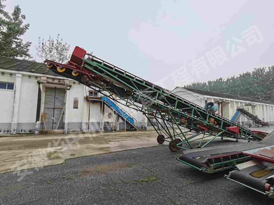 登高抛粮移动式皮带输送机工作现场