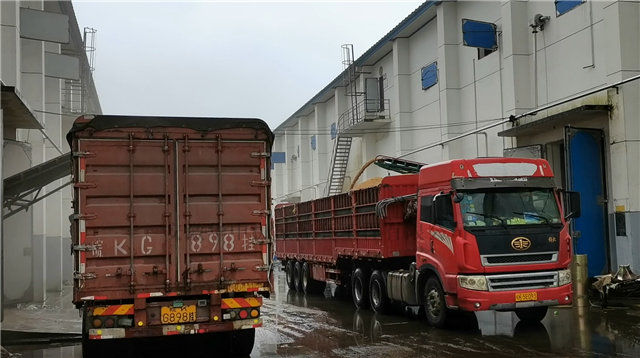 登高伸缩移动式皮带输送机