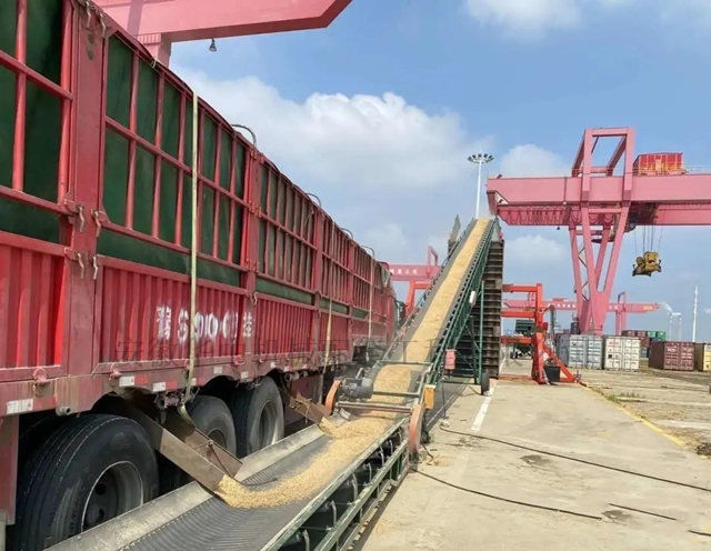 集装箱散粮灌装